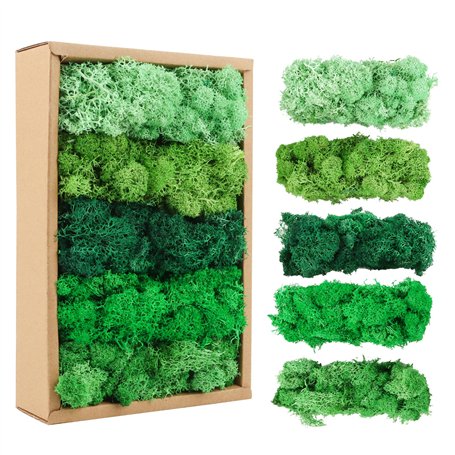 MXTIMWAN Mousse de Renne