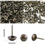 Basicon Robuste Bronze Clous Tapissier Décoratifs Clou Rétro DIY Clous d'Ameublement pou