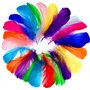 Naturel Multicolore Plume Décoration pour DIY Arts Crafts