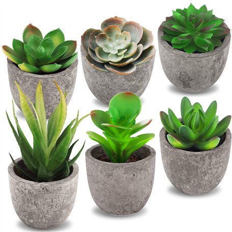 Frasheng 6 Pièces de Plantes Succulentes Artificielles en Pot