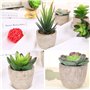 Frasheng 6 Pièces de Plantes Succulentes Artificielles en Pot,Petits Succulents,Plante Artificielle Interieur,Plantes Succulente