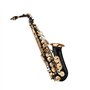 summina Saxophone Eb Alto Sax en laiton laqué doré 82Z Key avec gants rembourrés, chiffon de nettoyage, brosse pour saxophone