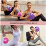 2 Pièces Yoga Ball Pilates Ballon de Gymnastique Anti-éclatement Fitness Balles pour 25cm Entraînement Abdominal et des Épaules,