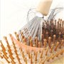 Nettoyage Brosse à Cheveux Portable Brosse