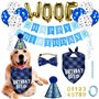 Boxgear Accessoire de fête d'anniversaire pour Chien