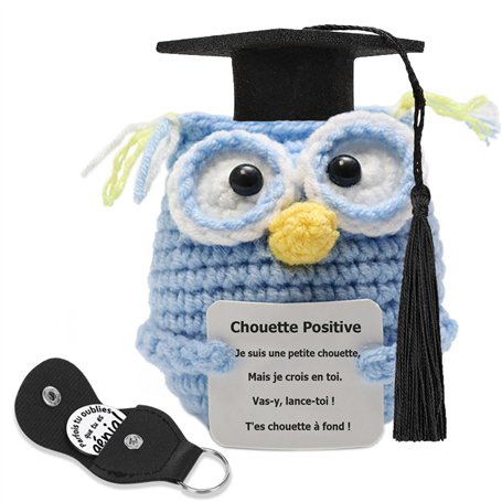 Cadeaux D'anniversaire de Graduation - Chouette Positive avec Porte-Bonheur - Cadeau Original pour Diplômé