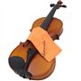 4 en 1 Cordes de Violon & Muet en Caoutchouc & Pont d'érable & Chiffon de Nettoyage Accessoires pour ViolonAccessoires pour Viol