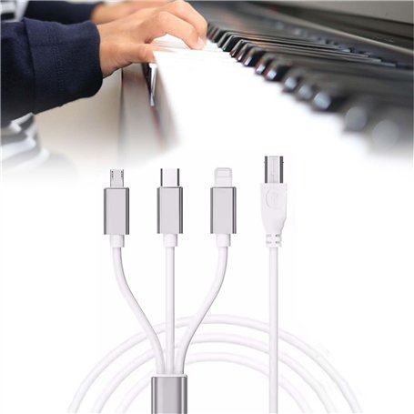 Câble Midi 3 en 1 USB C vers USB B - 1 m - Câble USB OTG de type C vers USB B - Pour iPhone