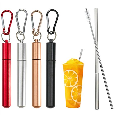 Mauepersu 4 Pcs Paille INOX