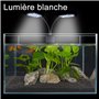 SENZEAL X7 Gemini LED Lumière Deux Têtes D'Aquarium 220V 15W 1600LM X7 Pour Réservoir de Poissons de 8 à 15 Pouces