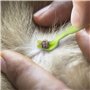 pour Chiens Chats Efficace Tick Removal Tool