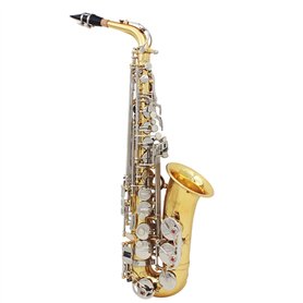 Btuty Saxophone alto en laiton brillant - gravure de Mi bémol