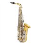 Btuty Saxophone alto en laiton brillant - gravure de Mi bémol
