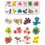 KAHEIGN 96 Pièces Fleur Séchée pour Ongles, 3D Nail Art Véritable Fleur Séchée Nail Applique Nail Pièces Préservé Fleur Manucure