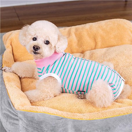 Concentration Réglable