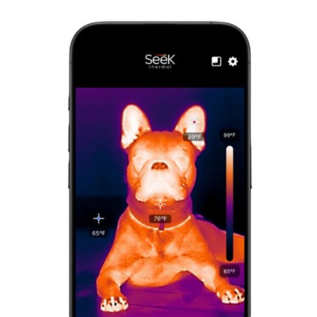 Peigne de Massage et Soin des Cheveux