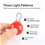 HOTERB Pendentif Lumineux Chien,LED lampe pour chien,6PCS Lumières de Sécurité Colorées pour Chien Chat pour Porte-clés Cyclisme