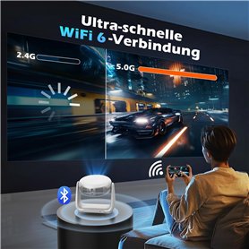 Filtre pour Fontaine à Eau pour Dogs Pet