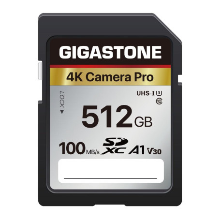 Gigastone Carte Mémoire SDXC 512 Go