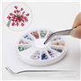 1 Boîte Nail Art Strass Tweezer