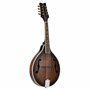 Ortega Guitars Bluegrass Mandoline de style A – Série Americana – Épicéa et érable avec finition satinée à whisky (RMA30-WB)
