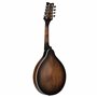 Ortega Guitars Bluegrass Mandoline de style A – Série Americana – Épicéa et érable avec finition satinée à whisky (RMA30-WB)