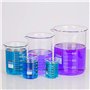 stonylab Ensemble de Béchers en Verre, Verre Borosilicate Gradué en Forme Basse de Béchers Griffin en 5 Tailles, 50ml/100ml/250m