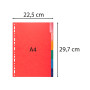 Exacompta - Réf. 2206E - Carton de 25 Intercalaires en carte lustrée 225g/m2 FSC® avec 6 onglets neutres en couleurs - renforcés