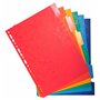 Exacompta - Réf. 2206E - Carton de 25 Intercalaires en carte lustrée 225g/m2 FSC® avec 6 onglets neutres en couleurs - renforcés
