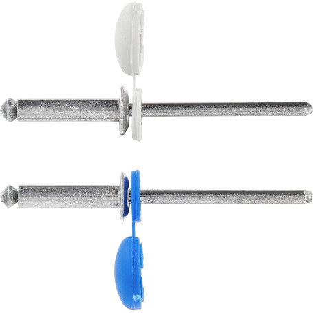 Restagraf - Rivets Épanouis avec Chapos Bleus