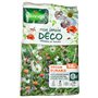 Vilmorin 5867150 Pack de Graines Mélange de Fleurs Durable Pluriannuel 50 m²