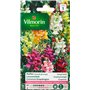 Vilmorin 5363041 Muflier Goupil Multicolore 9 x 0.5 x 16 cm