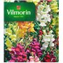 Vilmorin 5363041 Muflier Goupil Multicolore 9 x 0.5 x 16 cm