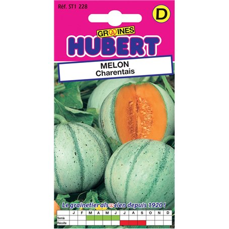 25 Graines de Melon Charentais