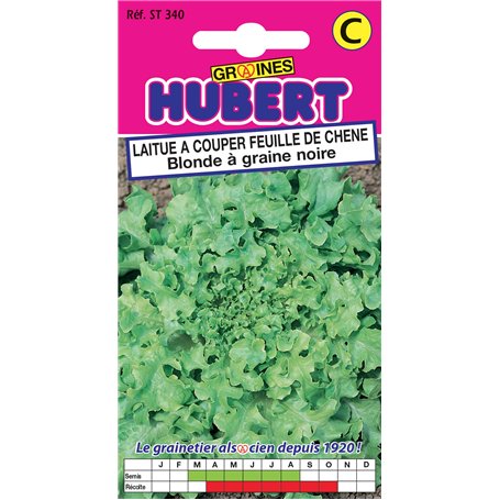Graines de Laitue à couper Feuille de Chêne Blonde à Graine Noire - 4 grammes