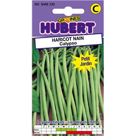 50 Graines de Haricot nain Calypso - Format Petit Jardin 50 Graines de Haricot nain Calypso - Format Petit Jardin