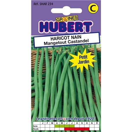 50 Graines de Haricot nain Mangetout Castandel - Format Petit Jardin