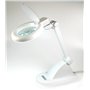 LAMPE LOUPE - Néon Daylight Fluorescent