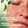 Masque Visage Extracteur Points Noirs Masque Anti-Acné aux Huiles Essentielles Masque Peel-Off Masque d'Alginate gelifiant en po