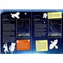 Wingames 673109 Globe terrestre Lumineux Jour & Nuit 26cm Multicolore