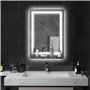 HOMCOM Miroir Lumineux LED 22 W Interrupteur Tactile étagère intégrée 50L x 4l x 70H cm