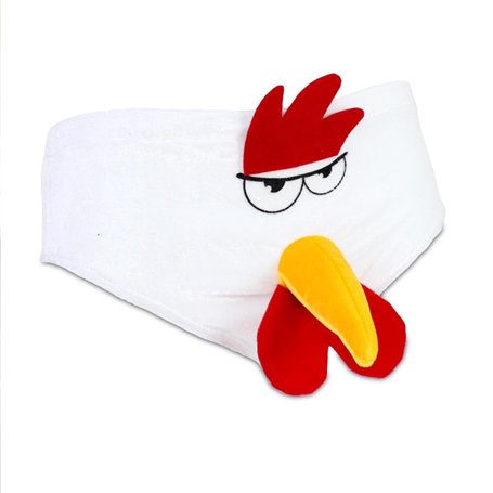 Slip Coq