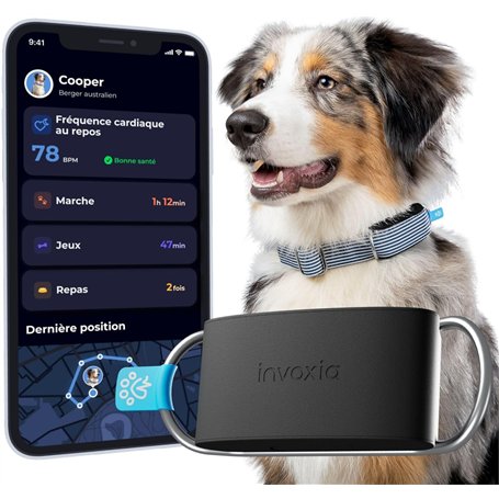 Invoxia Minitailz - Traceur GPS & Santé n°1 pour Chien - Alertes Anti-Fugue