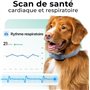Invoxia Minitailz - Traceur GPS & Santé n°1 pour Chien - Alertes Anti-Fugue, Scan respiratoire - Localisation Temps réel, Rechar