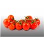 100 graines à semer - Le Grenier d'Abondance - TOMATE Cerise - Spécial Cocktail