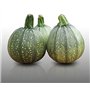 10 graines à semer - Le Grenier d'Abondance - COURGETTE Ronde de Nice - Curcubita Pepo