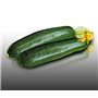 15 graines à semer - Le Grenier d'Abondance - COURGETTE Diamant Hybride F1 - Cucurbita Pepo