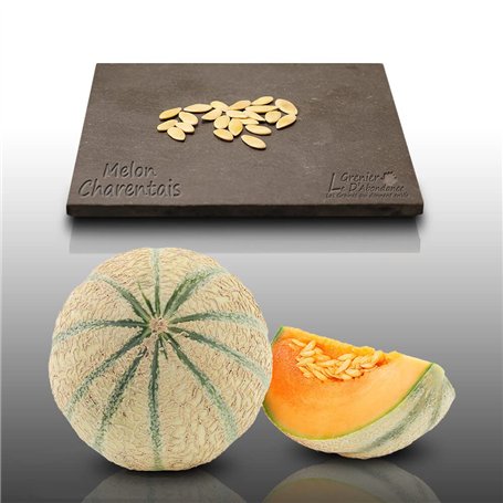 20 graines à semer - Le Grenier d'Abondance - MELON Charentais - Cucumis melo