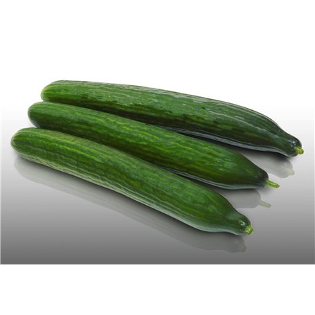 25 graines à semer - Le Grenier d'Abondance - CONCOMBRE Long Anglais - Cucumis sativus