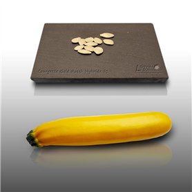 10 graines à semer - Le Grenier d'Abondance - COURGETTE Gold Rush Hybride F1 - Cucurbita Pepo